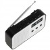 Adler | Digital radio PLL AM/FM | AD 1907 | Alarm function | White/Black