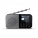 Sharp OSAKA Pocket/Handheld Portable Digital Radio | DR-P520(GY) | Bluetooth