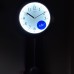 Sieninis kvarcinis laikrodis ADLER 20246O Švyti tamsoje